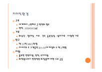 [국제경영] 라네즈 중국시장 진출 전략-8