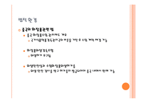 [국제경영] 라네즈 중국시장 진출 전략-13