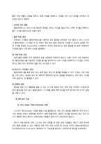 [경영학] 시스코(CISCO) 지식경영 사례 분석-12