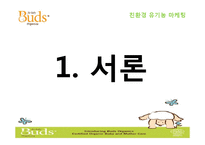 [소비자행동론] 친환경 유기농 마케팅 전략-3