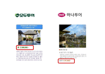 [경영학] 모두투어와 하나투어의 STP, 7P분석 및 시사점 고찰-10