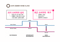 [소비자행동론] 편집샵 A LAND 마케팅 전략 분석-7