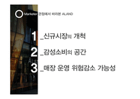 [소비자행동론] 편집샵 A LAND 마케팅 전략 분석-12