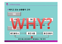 [경영학] 지주회사(Holding Company) 장단점 및 사례와 적용방안-10