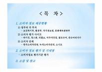 소비자 정보제공 현황 및 평가-2
