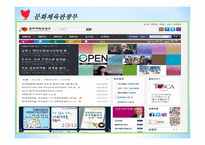 소비자 정보제공 현황 및 평가-8