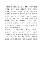 2010 대한민국 트렌드 독후감-3
