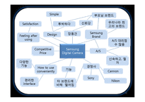 삼성 디지털 카메라 Consumer Behavior-18