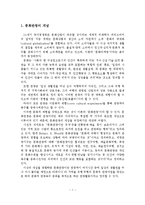 문화관광의 개념, 유형, 특성, 역할, 영향, 기대효과-2