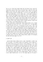 야간경관의 정의, 특성, 구성요소, 문제점, 활성화 방안-6