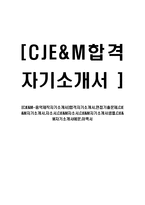 [CJE&M-음악제작자기소개서]합격자기소개서,면접기출문제,CJE&M자기소개서,자소서,CJE&M자소서,CJE&M자기소개서샘플,예문,이력서-1