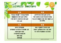 [경영전략, 전략경영]스킨푸드 해외시장진출 SKINFOOD-13