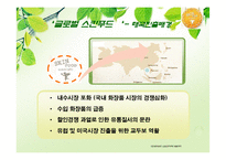 [경영전략, 전략경영]스킨푸드 해외시장진출 SKINFOOD-14