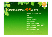 [경영전략, 전략경영]스킨푸드 해외시장진출 SKINFOOD-15