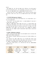 [교육심리학]1.가드너의 중다지능이론을 설명, 그 교육적 시사점을 논하시오 2.콜버그의 도덕성 발달이론을 설명, 그 교육적 시사점을 논하시오-7