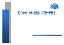 [Ice fili]아이스필리 case study 국제경영 경영전략-1