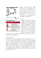 대한항공 경영분석및 마케팅 SWOT,STP,4P전략분석과 나의견해-8