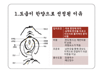 한국정원의 특징 조사-18