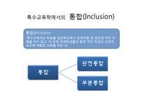 영화 `날아라 허동구` 속 통합교육의 문제점 고찰-5