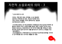 작가 손창섭의 생애와 소설 `신의 희작` 작품 연구-16