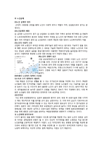 [사회학] 대도시의 아동복지와 노인복지 정책의 문제점과 개선방안-2