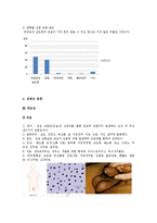 성병(Venereal disease)의 사례와 종류 및 예방-4
