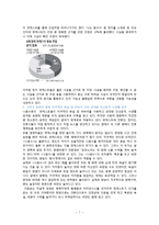 [미디어론] 대안언론으로서의 팟 캐스트의 문제점과 해결방안-7