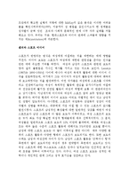 스포츠 산업 내의 성차별 문제 성평등정책에 관하여-13