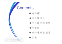 한류의 흐름과 현황 및 평가-2