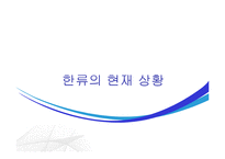 한류의 흐름과 현황 및 평가-11