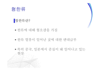 한류의 흐름과 현황 및 평가-18