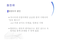 한류의 흐름과 현황 및 평가-19