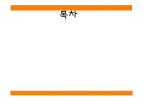 [청소년심리] 청소년 임신 실태와 문제점 및 심리학적 고찰-2