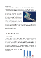 [환경학] 지구온난화와 해빙, 해수면 상승 방지를 이한 노력-8