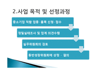 [정책론] 중소기업 보호를 위한 `중소기업 적합업종제도`의 한계점과 개선방안-11