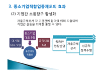 [정책론] 중소기업 보호를 위한 `중소기업 적합업종제도`의 한계점과 개선방안-18