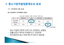 [정책론] 중소기업 보호를 위한 `중소기업 적합업종제도`의 한계점과 개선방안-19