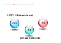 사랑의 유형과 이론 및 행복한 결혼을 위한 조건에 대하여-13