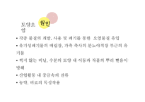 현대사회의 환경문제-6