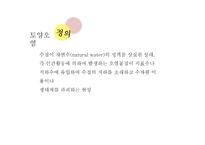 현대사회의 환경문제-12