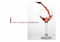 프랑스 문화-보르도(Bordeaux) 와인 축제-4