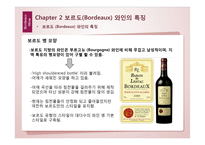 프랑스 문화-보르도(Bordeaux) 와인 축제-12