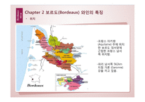 프랑스 문화-보르도(Bordeaux) 와인 축제-13