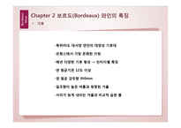 프랑스 문화-보르도(Bordeaux) 와인 축제-17