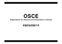지역통합과 국제관계-OSCE-SCO-ASEAN-8