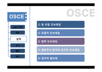 지역통합과 국제관계-OSCE-SCO-ASEAN-11