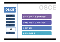 지역통합과 국제관계-OSCE-SCO-ASEAN-13