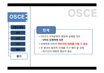 지역통합과 국제관계-OSCE-SCO-ASEAN-15