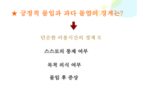 [언론정보학] 컴퓨터 중독의 긍정적 몰입과 과다몰입의 시사점-14