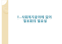 [사회복지] 사회복지 정보화 담당관의 역할 및 효과 연구-14